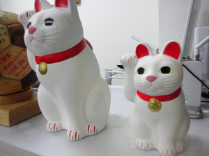 Photo_2